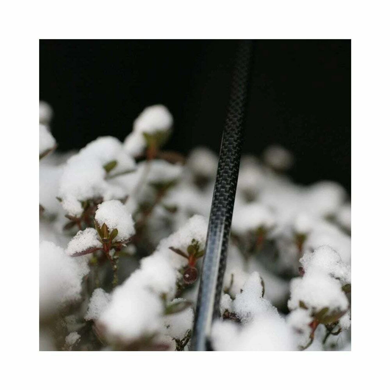 Silver Shadow Carbon Umbrella 5 Silver Shadow Carbon Umbrella - Image 3