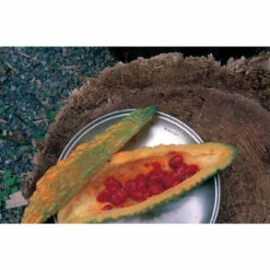 Snow Peak Tableware Plate L -VenturePro Store snow peak 2022 tableware plate l 01927.1680263008